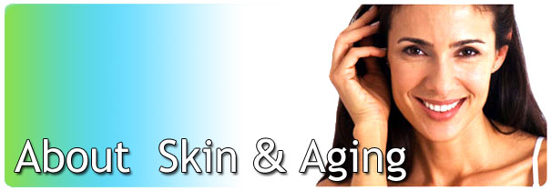About Skin and Aging